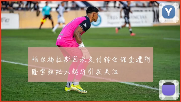 帕尔梅拉斯因未支付转会佣金遭阿隆索经纪人起诉引发关注
